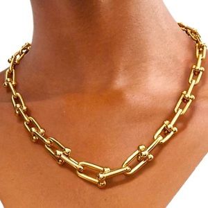 Gold Hardware Graduated Link U Necklace
